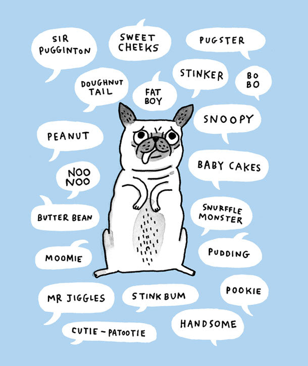 Pug Nicknames