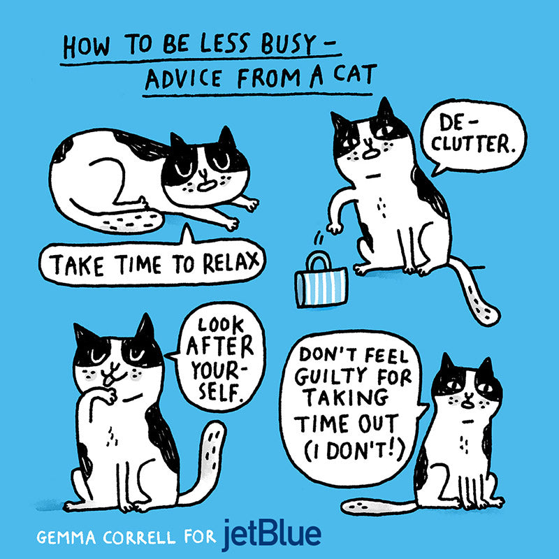 Cat Advice
