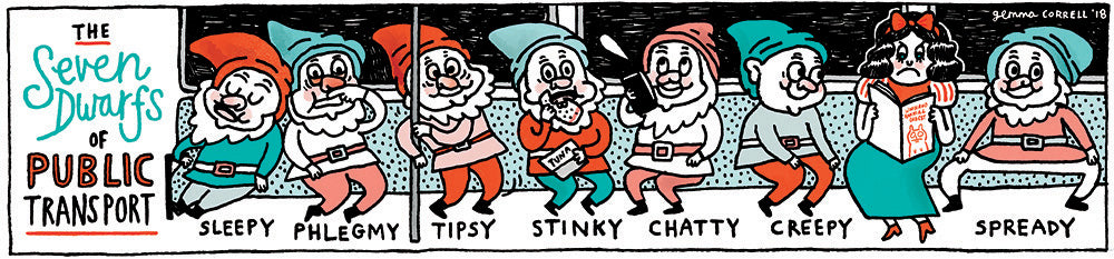 The Seven Dwarfs of Public Transport